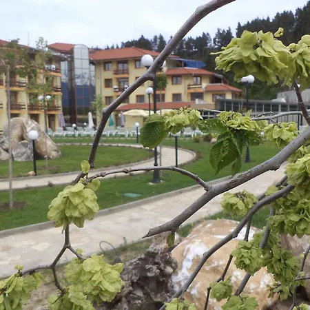 Otel Thermal Roman Bath 4*