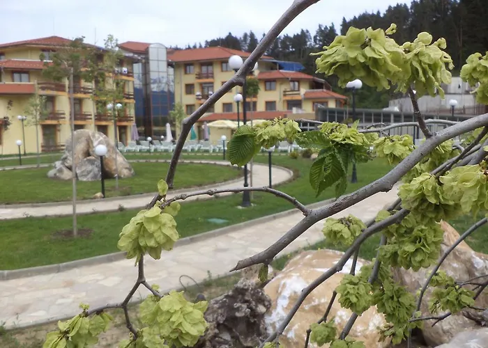 Hotel Thermal Roman Bath 4*