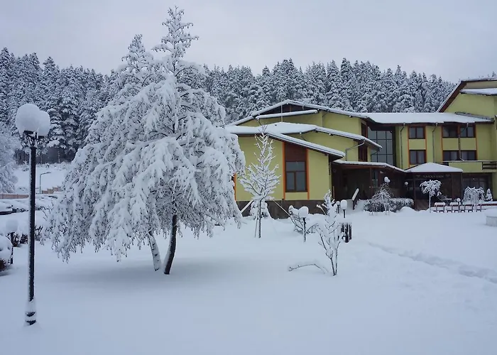 Hotel Thermal Roman Bath 4*